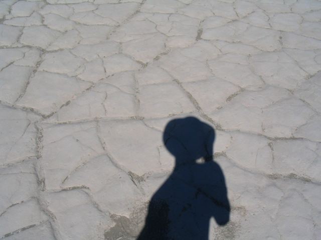 img_1786.jpg