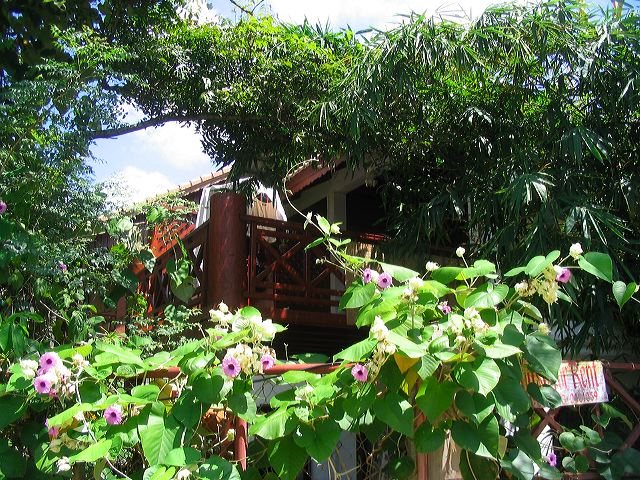 maison02.jpg