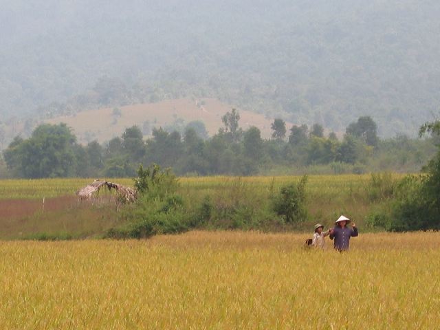 dsc01217.jpg