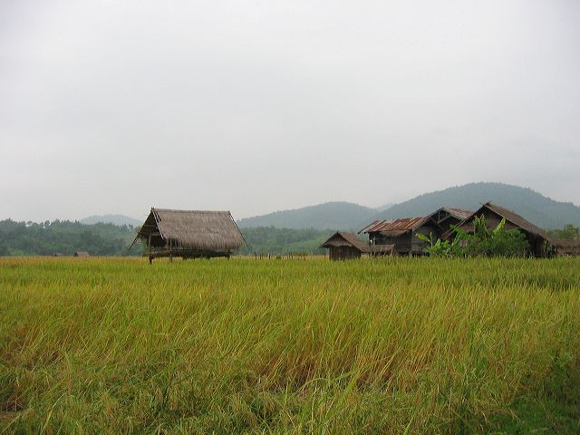 dsc01219.jpg