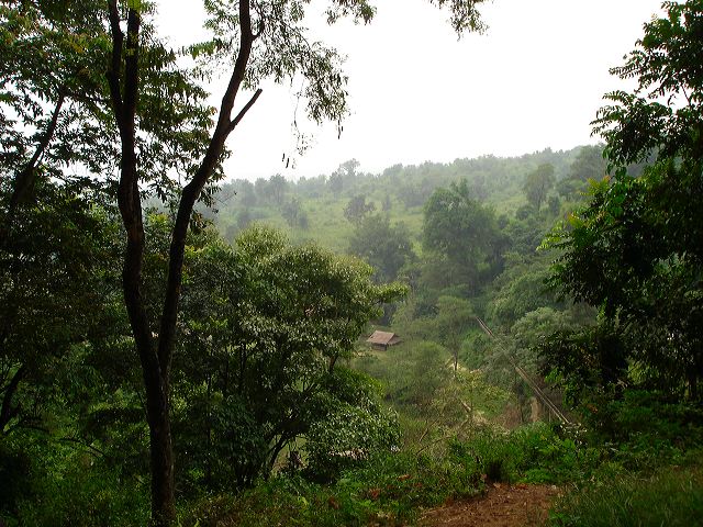 dsc01357.jpg