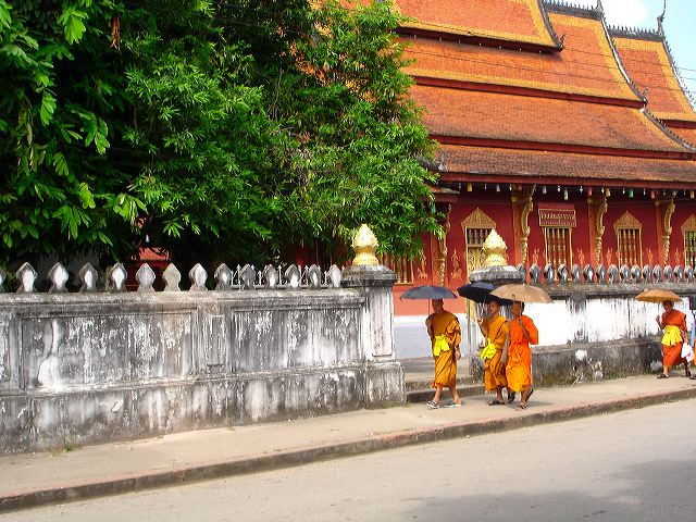 dsc01446.jpg