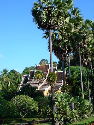 dsc01455.jpg