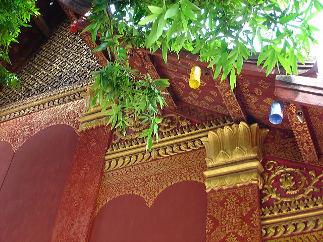 dsc01460.jpg