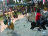 img_4061