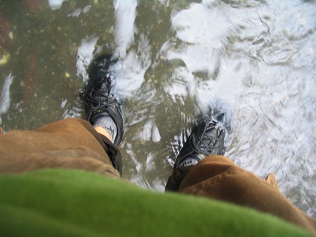 img_4583.jpg