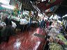 img_4557