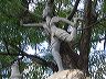 img_4670