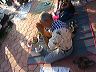 img_4728