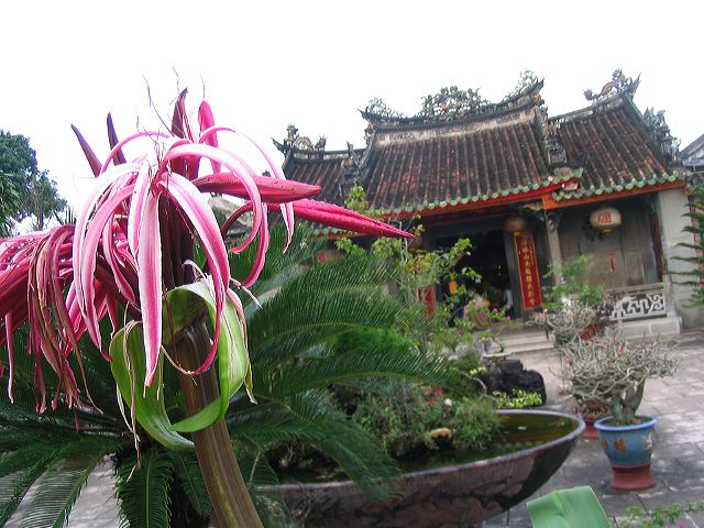 img_5230.jpg