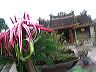 img_5230