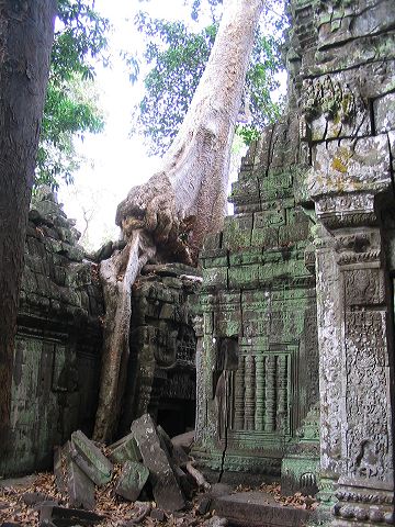 img_5800.jpg