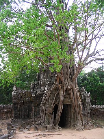 img_5874.jpg