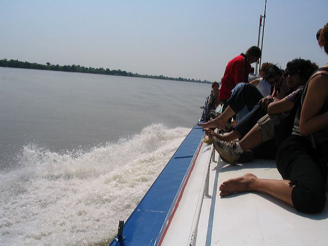 img_5911.jpg