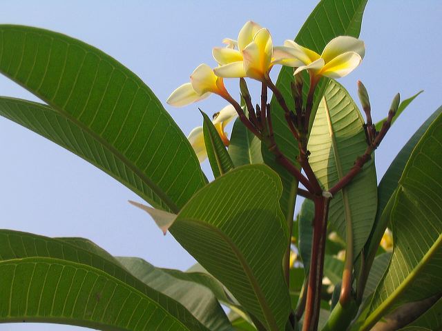img_6173.jpg