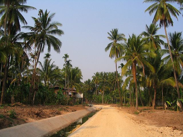 img_6241.jpg