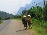 img_6705