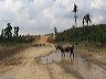 img_0449