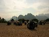 dscn2526